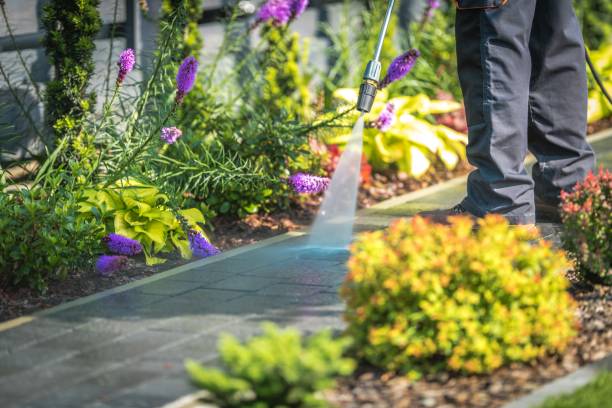 Best Fence Cleaning  in Nokomis, IL