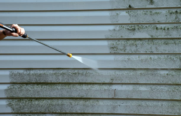 Best Building Exterior Washing  in Nokomis, IL